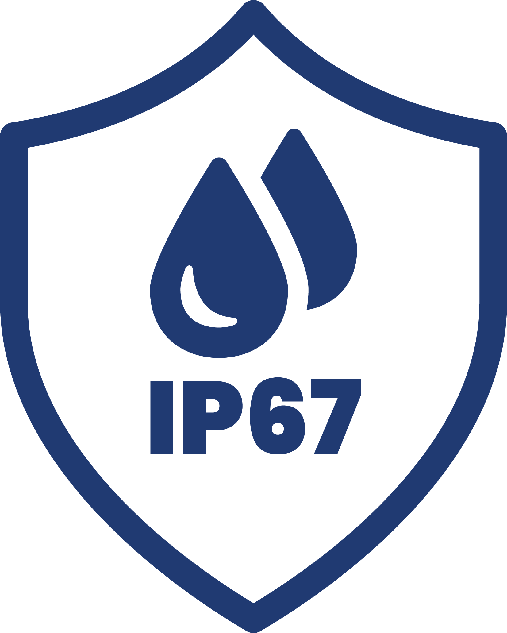 Ingress Protection 67 logo